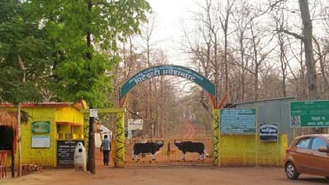 nagzira forest will open from first november