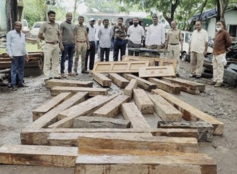 घरात साठविला होता अवैध लाकूड साठा, माहिती मिळताच वन विभागाची कारवाई