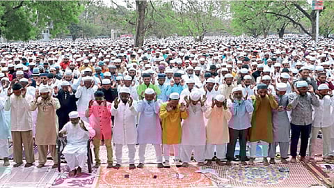 संग्रहित