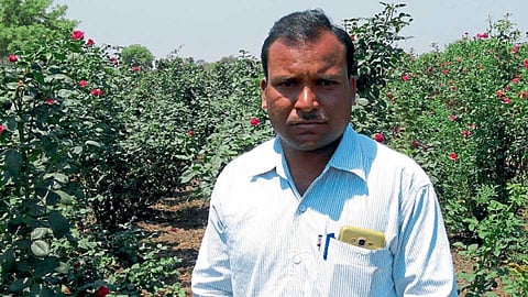 नामदेव ढोकणे