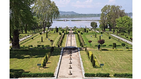 श्रीनगर - पर्यटकांचे आकर्षण असलेली निशात बाग लॉकडाउनमुळे सध्या निर्मनुष्य आहे.