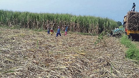 ऊसतोड कामगार