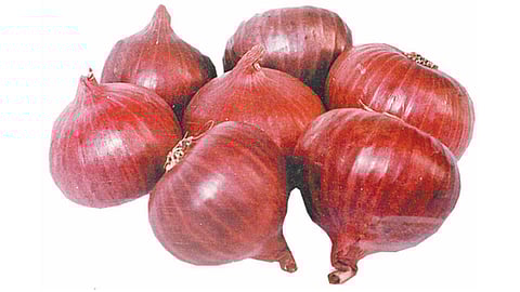 लोणंदच्या बाजारात कांद्याचा दर घसरला