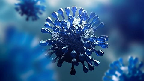 Coronavirus 