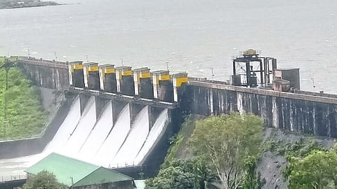 pavana dam