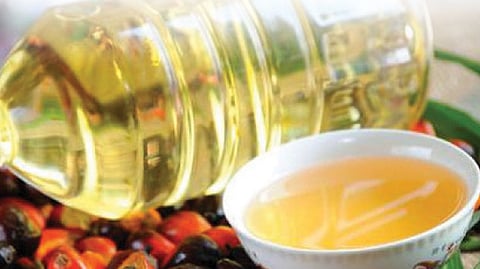 Oil professionals Demand for increase in import duty on palm oil Piyush Goyal finance economy tax mumbai