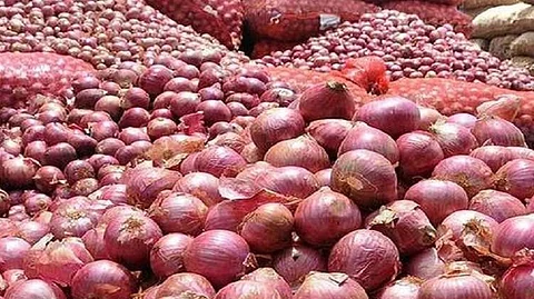 onion