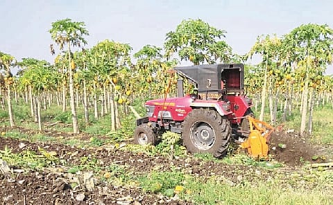 भिकारसांगवी (ता. उमरगा) : लॉकडाऊनमुळे उठाव नसल्याने चार एकरांतील पपईचे पीक रोटाव्हेटर फिरवून मोडीत काढताना शेतकरी.
