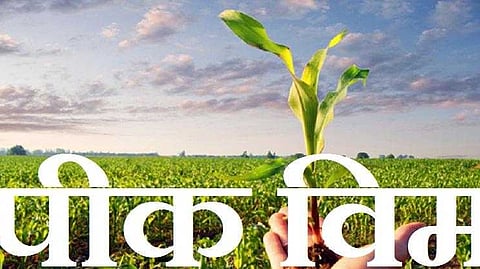 Crop insurance scheme