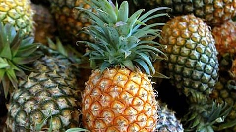 नवी मुंबई