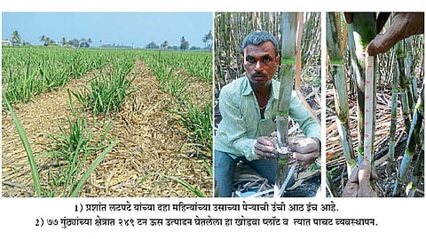 Prashant-Latpate