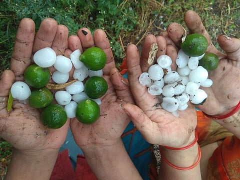 akola Presence of torrential rains in the district; Signs of rain across the state including Vidarbha