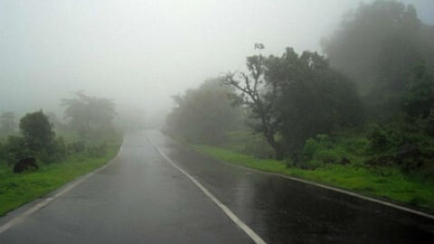 Rain