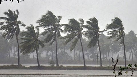 Rain