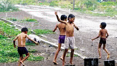 पावसाची हजेरी