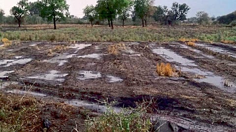 तळणी (ता. मंठा, जि. जालना) - जालना जिल्ह्यात काही भागांत शनिवारी वादळी वाऱ्यासह जोरदार बेमोसमी पाऊस झाला. तळणी येथे पावसानंतर शेतात साचलेले पाणी.