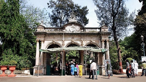 राणीची बाग खुले ना ! वाघोबाचे दर्शन मिळे ना !!, बच्चे कंपनीची महापौरांना साद