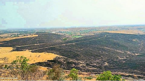 The forest in Nangole survived from fire; Diligent villagers, the culmination of the efforts of the workers