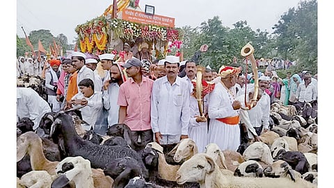 पिंपळी (ता. बारामती) - येथे संत सोपानकाका महाराज पालखी सोहळा आल्यानंतर मेंढ्यांनी प्रदक्षिणा घालून पालखीचे स्वागत केले.