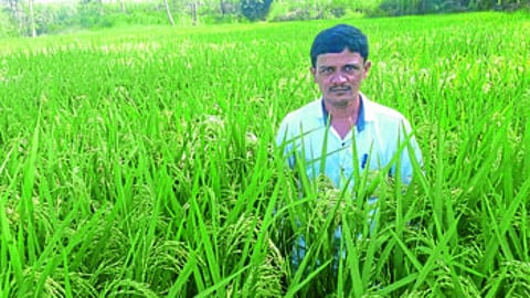 Organic farming flourished by a highly educated youth from Patna