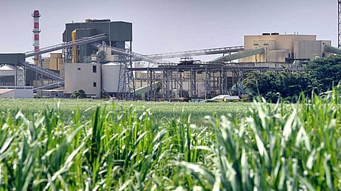 SUGAR INDUSTRY
