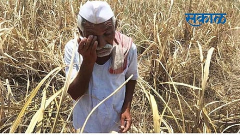 Sakal - 2021-03-02T101304.303.jpg