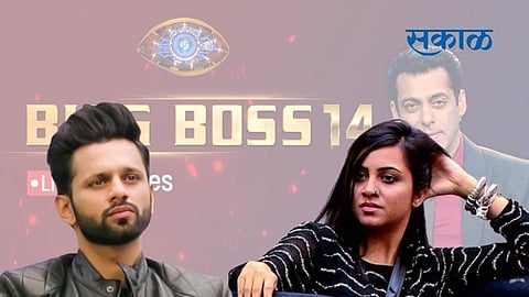 Bigg Boss 14: Arshi Khan gets into a verbal spat with Rahul Vaidya asks him to respect women