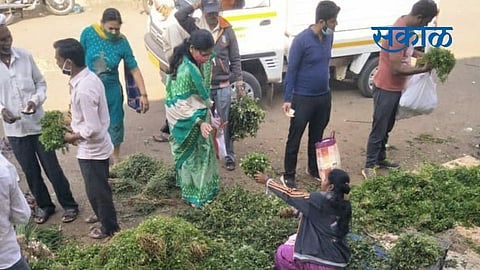 मोशी उपबाजारात कोथिंबिरीच्या जुड्यांची मोठी आवक; पालेभाज्यांचे भाव घटले