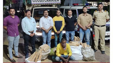 शिक्रापूर (ता. शिरूर) - येथे आज पहाटे पकडलेल्या चंदनचोरासह तपास पथकातील अधिकारी, कर्मचारी.