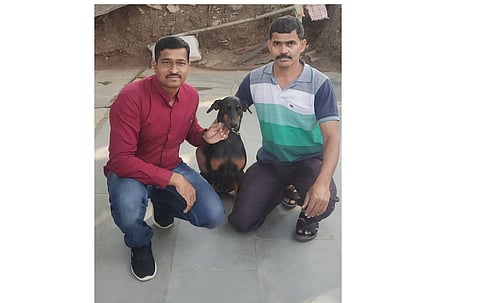 Smart and fast Shiba helping pune District Police to track criminal