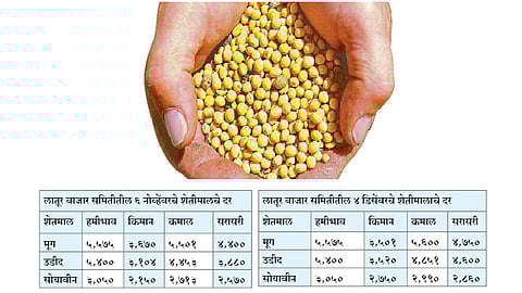 आयात शुल्क वाढविल्याने सोयाबीन, उडीद, मुगाला भाव - पाशा पटेल
