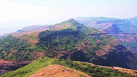 The incidence of one way in akola Kalsubai Harishchandra Gad Sanctuary has reduced.jpg