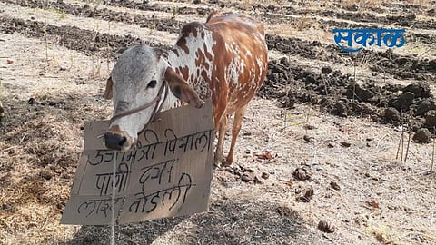 The problem of drinking water in Sengaon taluka has become serious as the power distribution company has cut off the connection.jpg