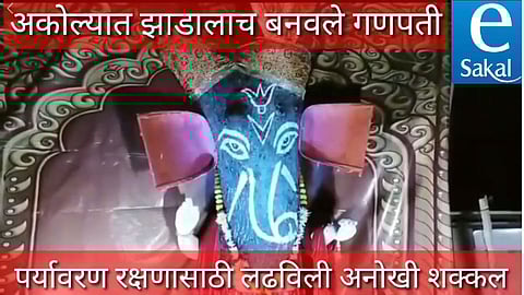 अकोला : झाडालाच बनविले गणपती (व्हिडिओ)