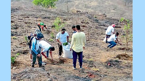 आयप्पा डोंगर, देहूरोड - स्वतः खड्डे खोदून वृक्षारोपण करताना निसर्ग राजा मित्र जीवांचे संस्थेचे कार्यकर्ते.