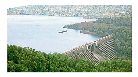 koyna dam overflow then In summer it will not light kokan marathi news