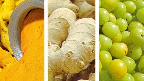 Vasant-Food