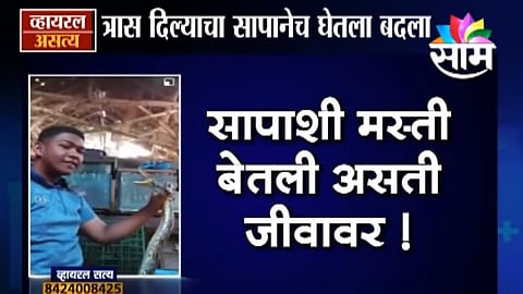 Viral Satya : सापाला त्रास देणाऱ्याला घडली अद्दल (Video)