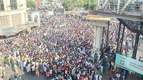 जरा विचार करा, ते स्थलांतरित निघून गेले तर मुंबईचे काय ?