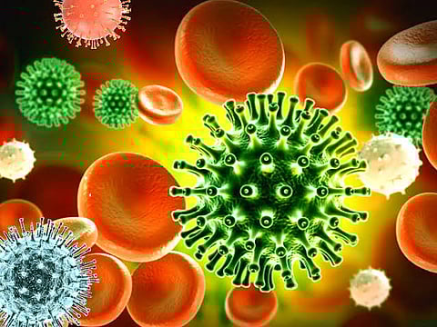 CoronaVirus News