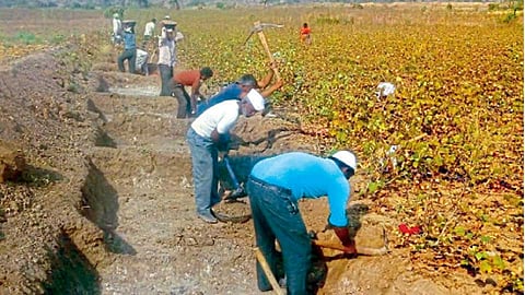 रोजगार हमी