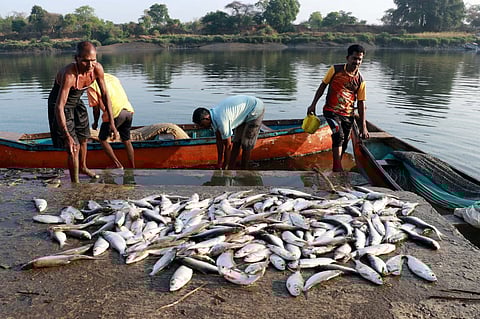 VIDEO: उल्हासनदी एवढी स्वच्छ कधी पाहिली होती का? मासेमारही झाले खुश