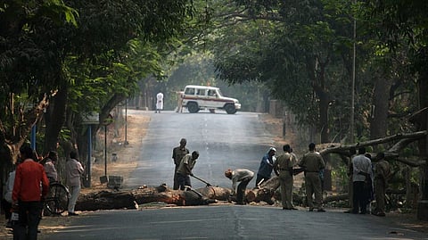 article on why Aarey Forest is so important for Mumbai
