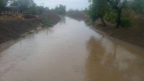 rain in akola, buldhana and washim