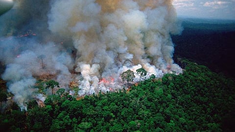Amazon rainforest is on fire from 15 august