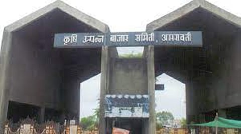 amravati apmc