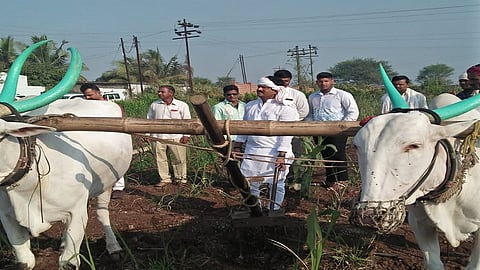 gopichand padalkar on tour of kolhapur district and udes plow farming in kolahpur