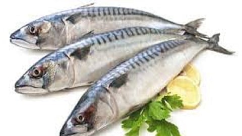 Many fish species became extinct due to contaminants storyby amol savant
