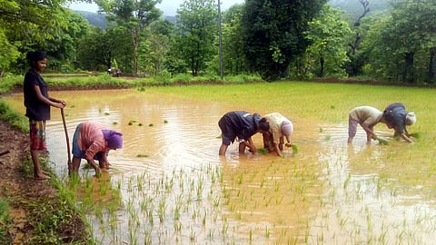 Satara