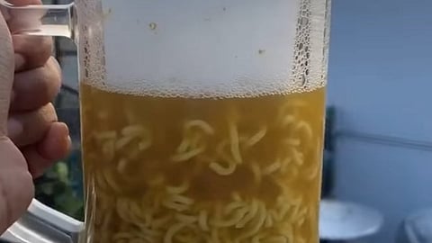 beer maggi